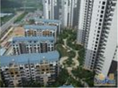 東莞珠佳房地產 專業房地產代理服務，助力投資與登記無憂